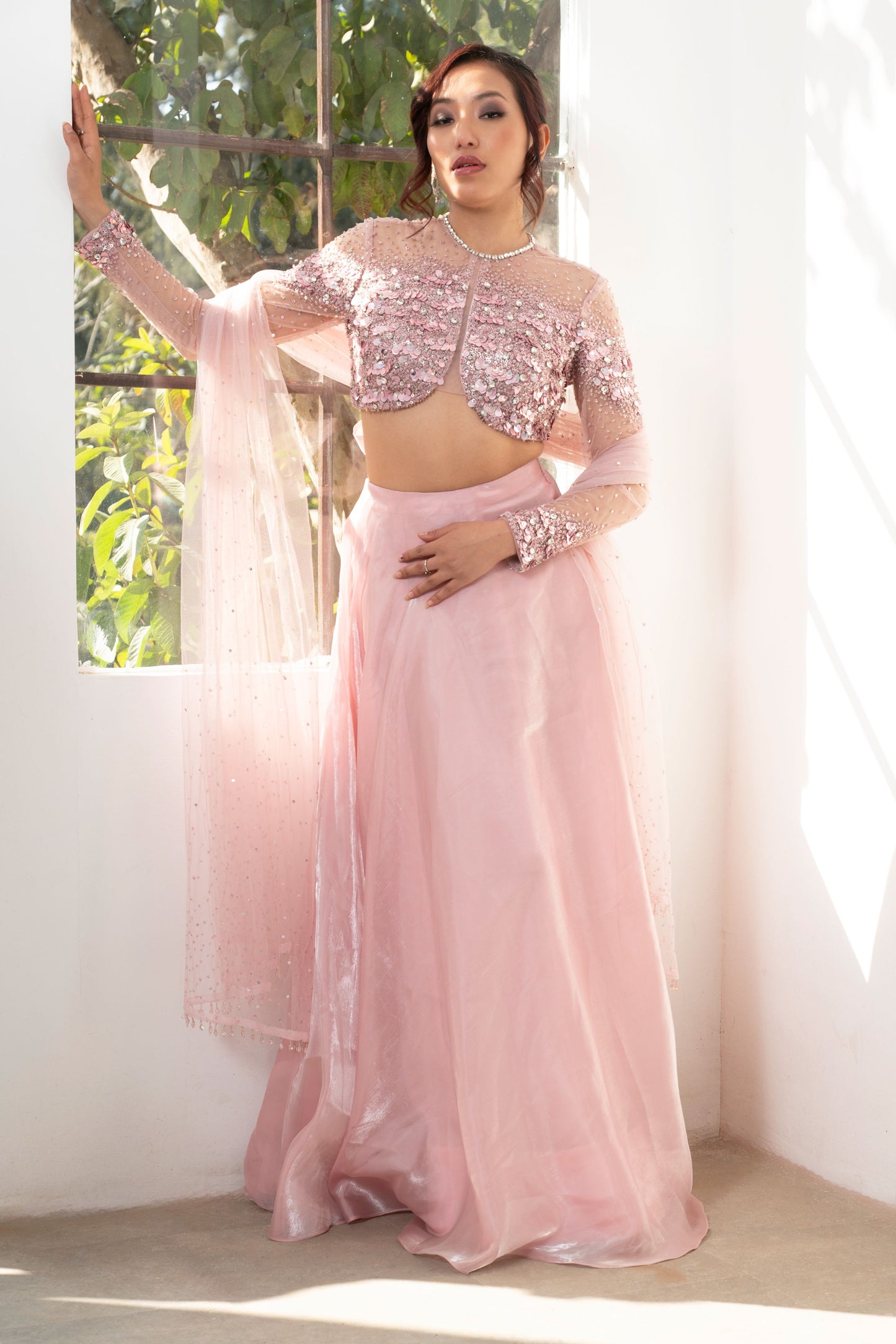 Pink Embellished Lehenga set