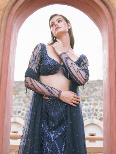 Dark blue embroidered lehenga set