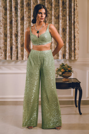 Pista Green sequins feather embroidered shrug set