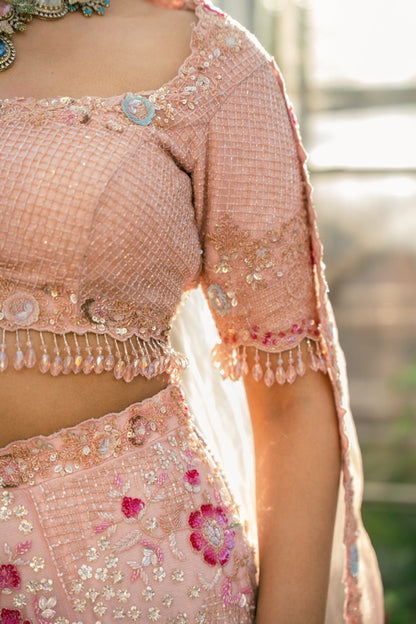 Rasmilan Light Pink Multicolor Embroidered Lehenga set