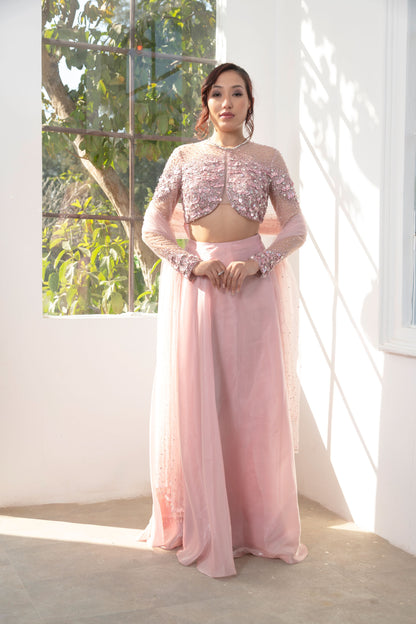 Pink Embellished Lehenga set