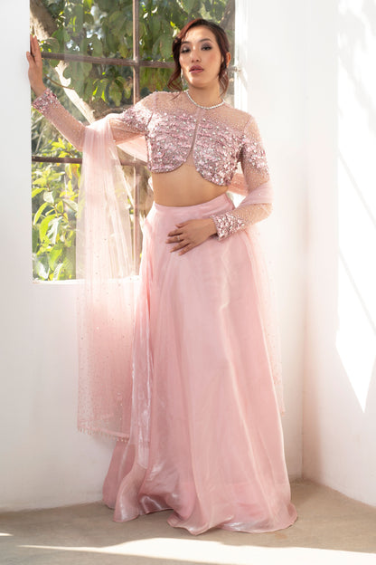 Pink Embellished Lehenga set