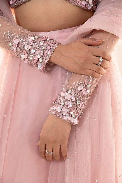 Pink Embellished Lehenga set