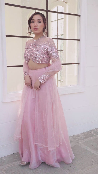 Pink Embellished Lehenga set