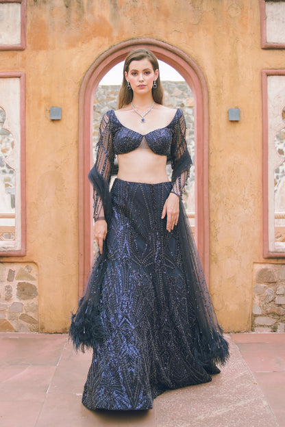 Dark blue embroidered lehenga set